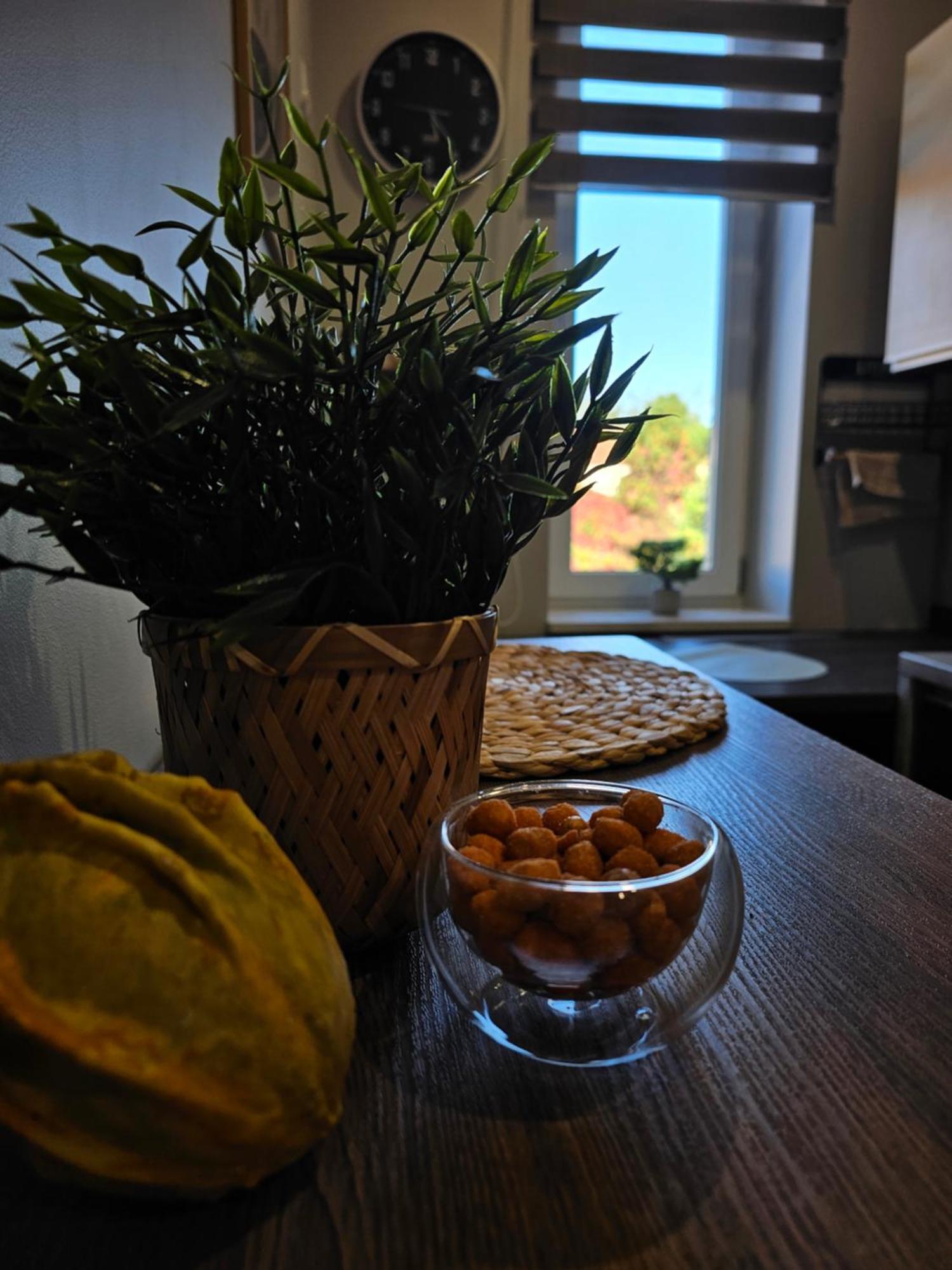 Cozy Residence Orawska 5 Krasków Εξωτερικό φωτογραφία